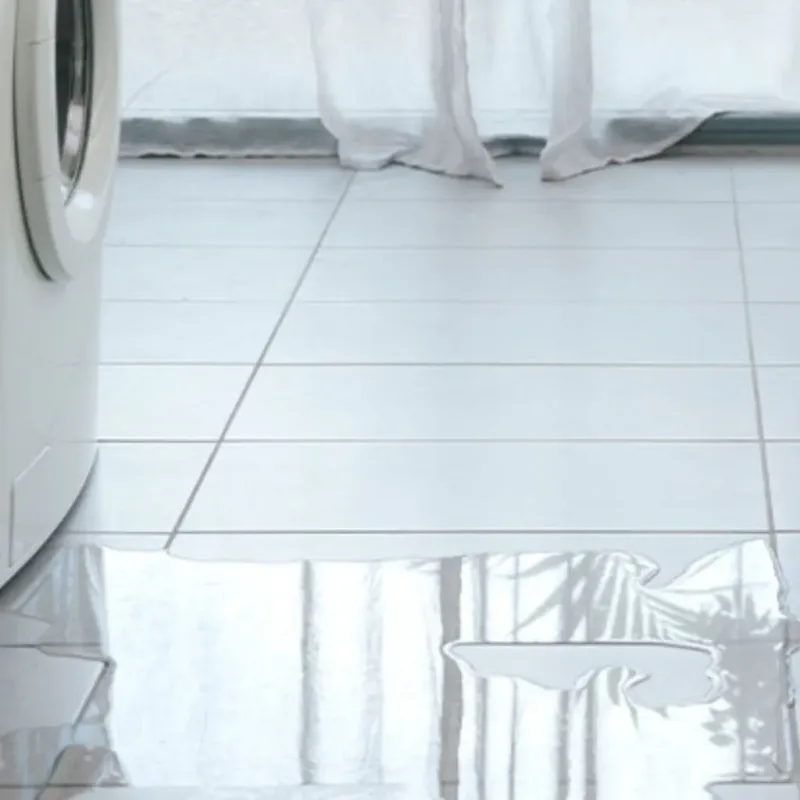 Appliance Leak Cleanup in Taylor County, IA