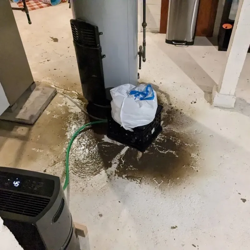 Sewage Backup Cleanup Service in Taylor County, IA